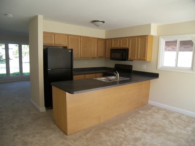 615 Terry Court Roselle, IL 60172 - Photo 7 of 15 a kitchen with granite countertop a refrigerator and a sink