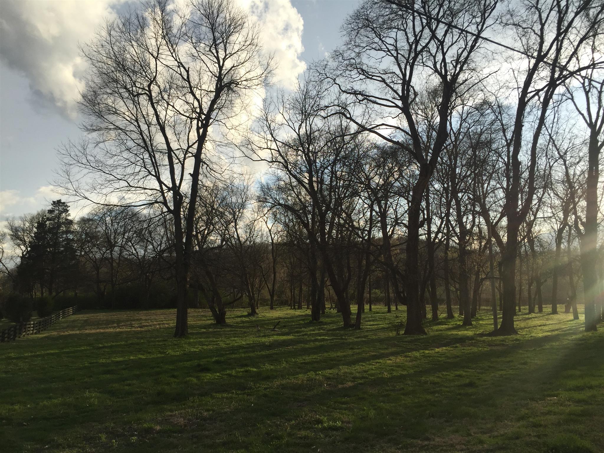 9370 Hester Beasley Road Nashville, TN 37221 - Photo 21 of 22 The Land Leading to the River is Beautiful!
