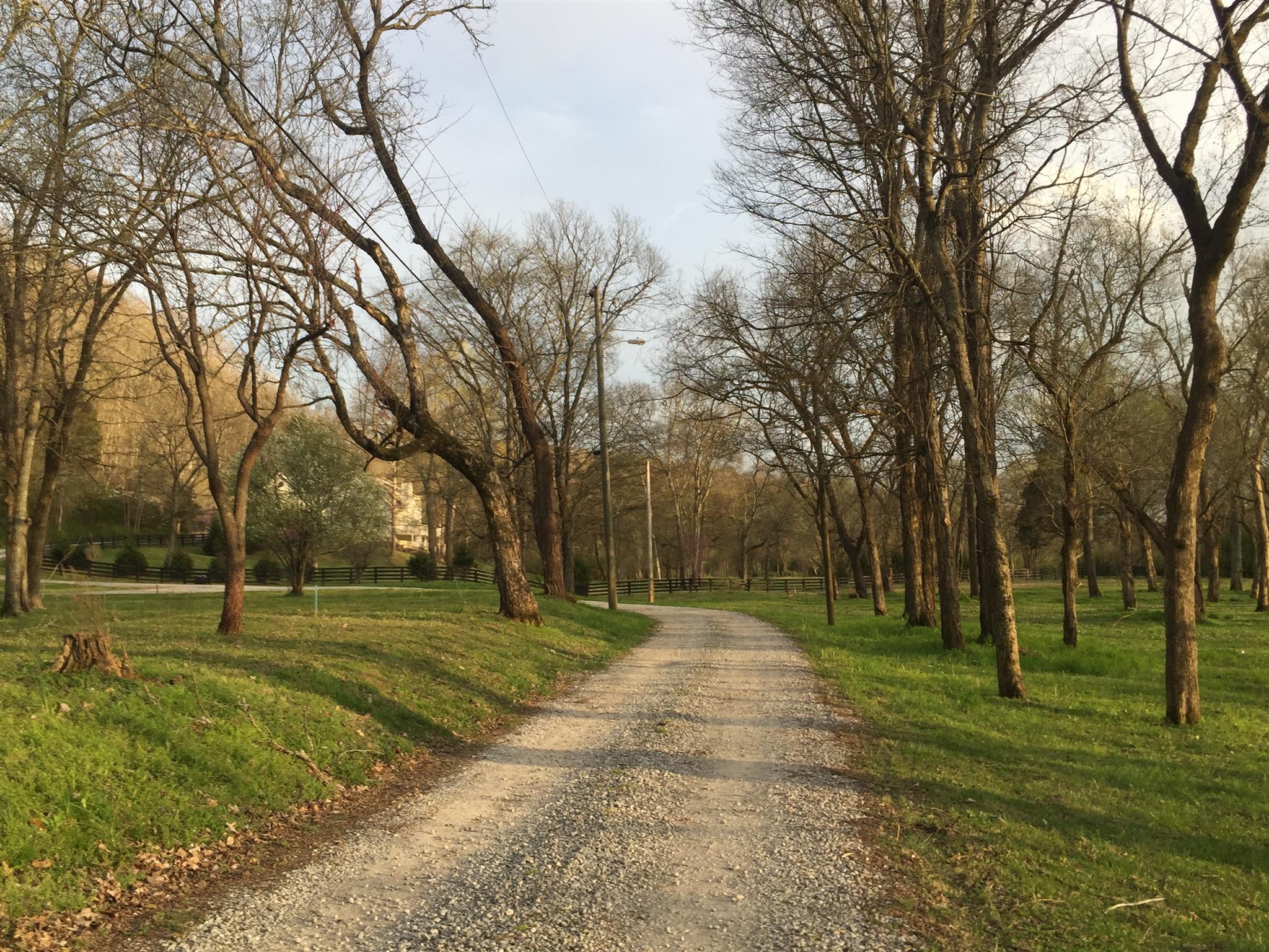 9370 Hester Beasley Road Nashville, TN 37221 - Photo 22 of 22 This is the Private Drive that Leads to 9366 & 9370 Hester Beasley.