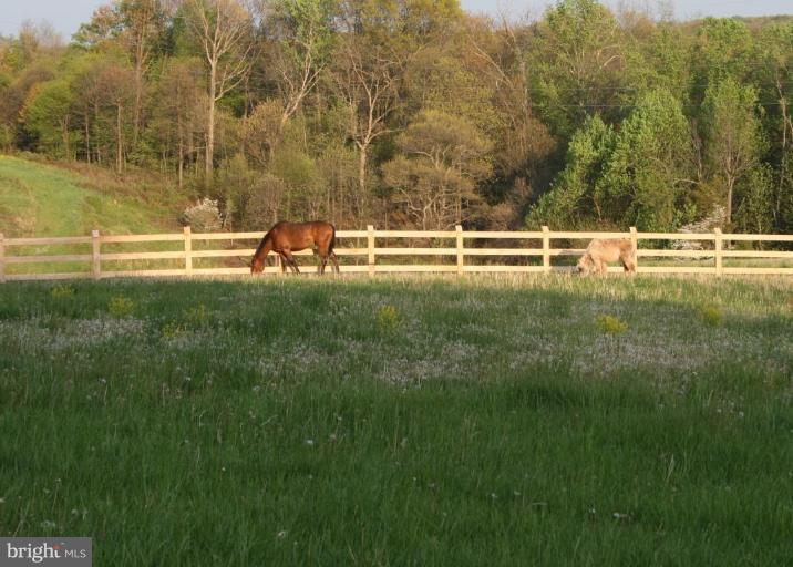 4315 Poole Road Finksburg, MD 21048 - Photo 22 of 22 New Oak board/locust post fencing
