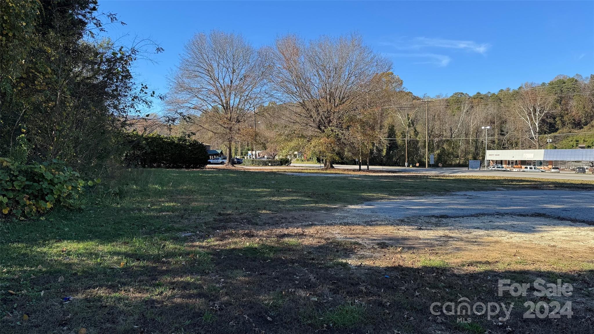 1056 South Trade Street Tryon, NC 28782 - Photo 13 of 15