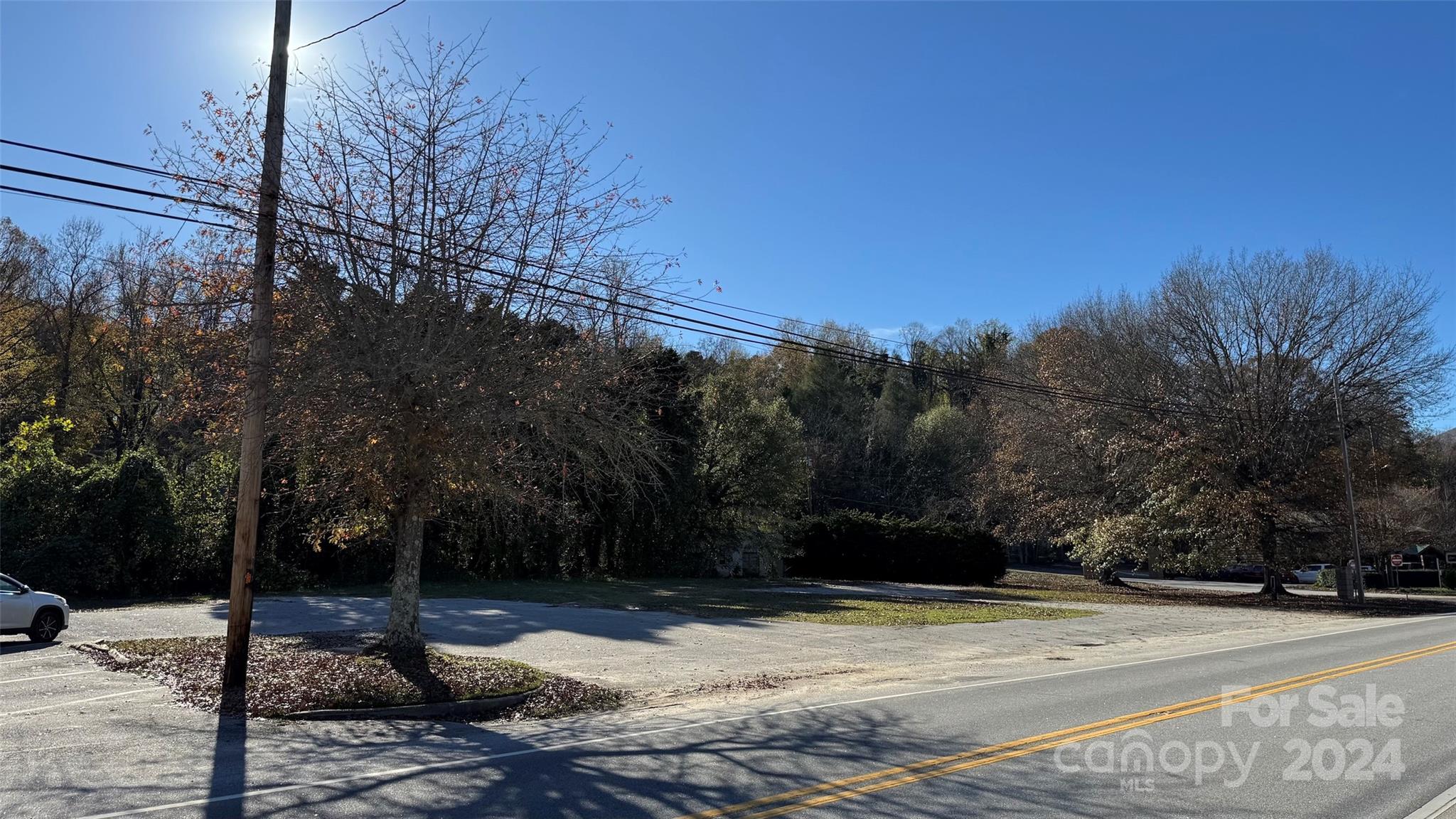 1056 South Trade Street Tryon, NC 28782 - Photo 5 of 15
