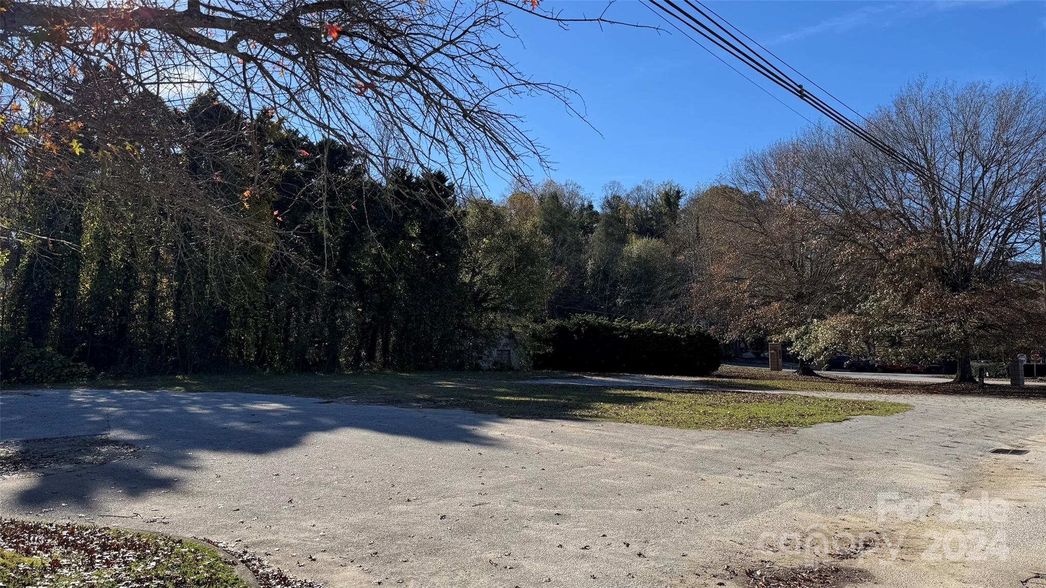 1056 South Trade Street Tryon, NC 28782 - Photo 8 of 15