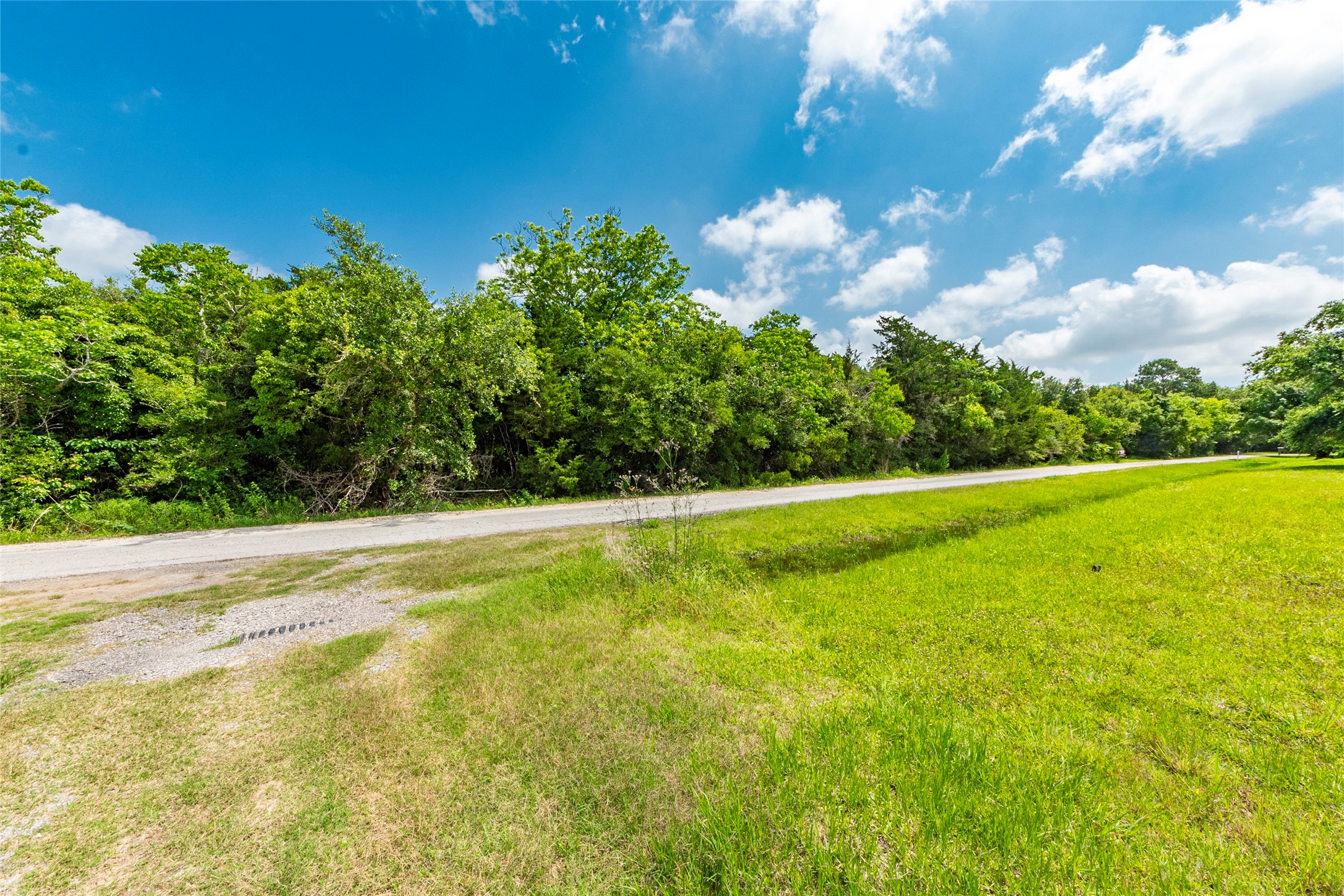 0 Moss Street La Marque, TX 77568 - Photo 5 of 5 a view of yard with swimming pool and green space