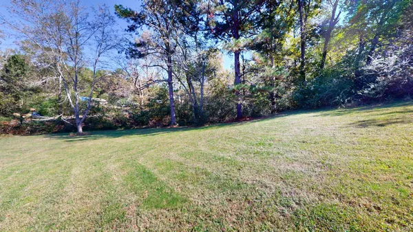 a view of a yard with a tree