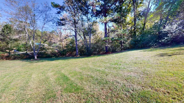 a view of a yard with a tree