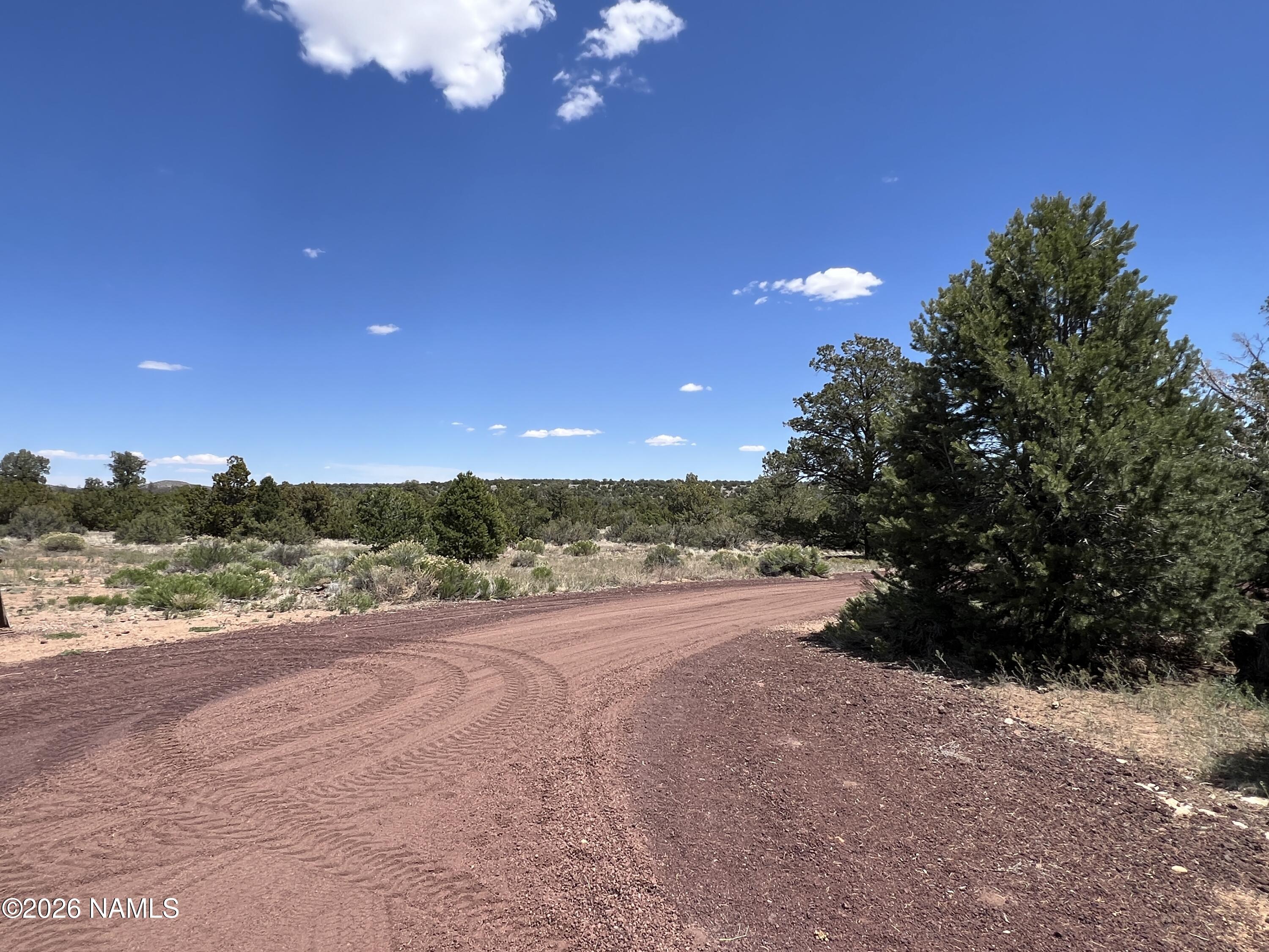 8348 Red Butte Road Williams, AZ 86046 - Photo 14 of 89 IMG_1397