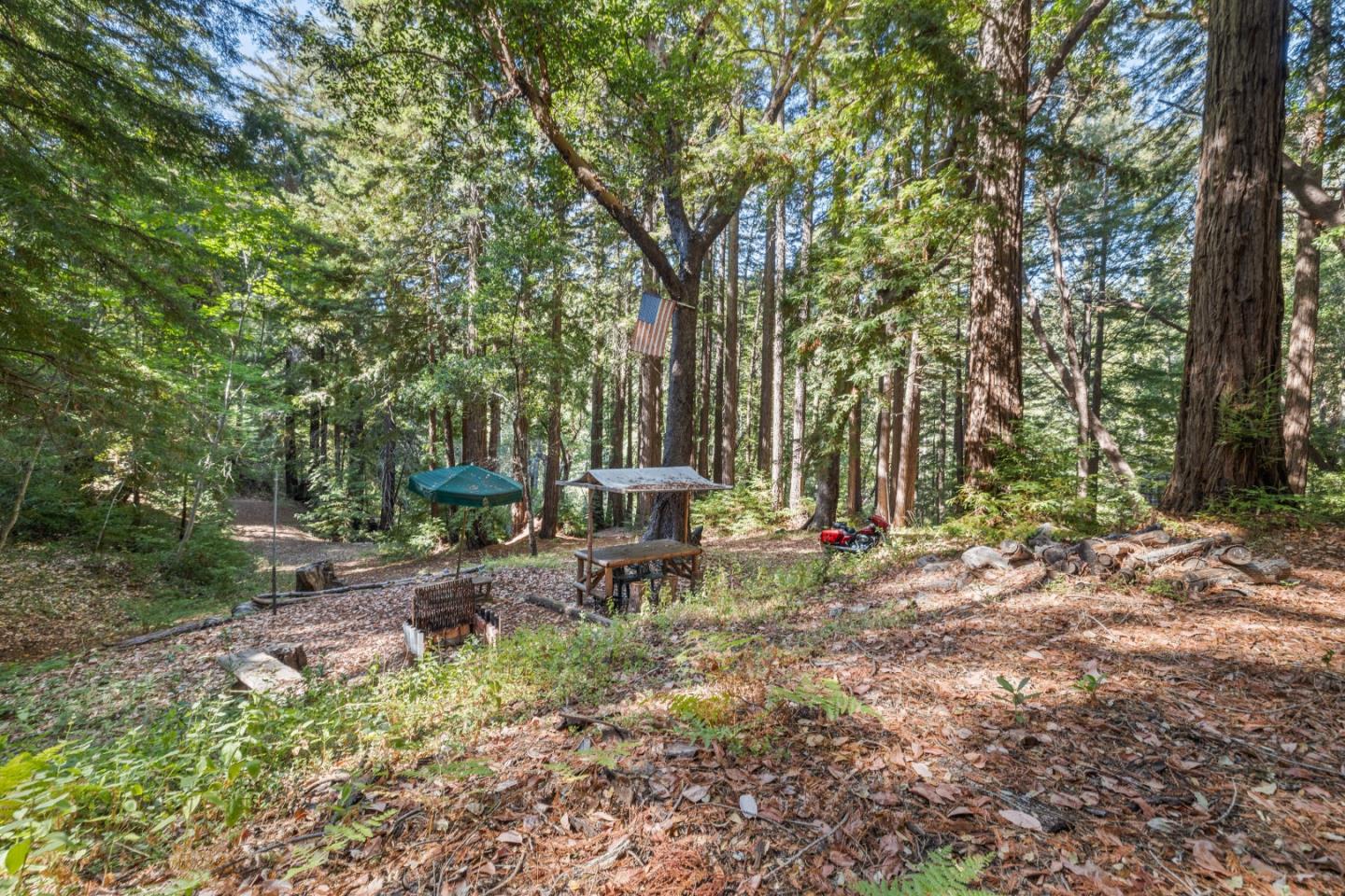 19900 Kings Creek Road Boulder Creek, CA 95006 - Photo 12 of 33 a view of a park with large trees and wooden fence