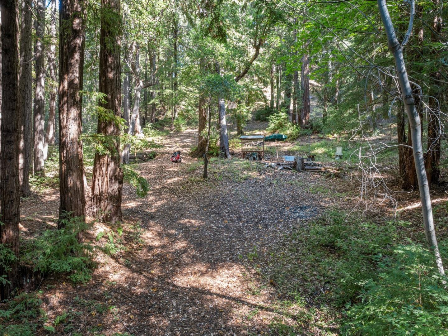 19900 Kings Creek Road Boulder Creek, CA 95006 - Photo 13 of 33 a backyard of a house with lots of green space