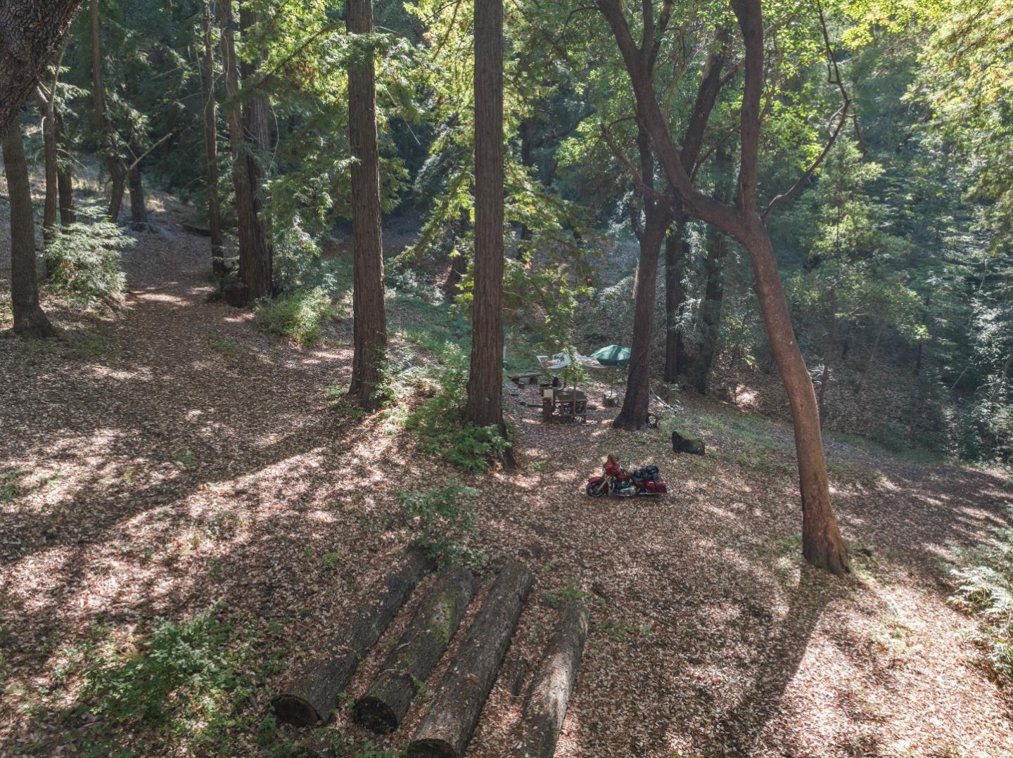 19900 Kings Creek Road Boulder Creek, CA 95006 - Photo 14 of 33 a view of a forest with trees in the background