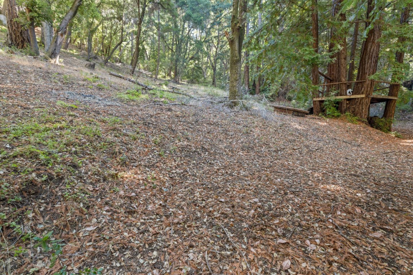 19900 Kings Creek Road Boulder Creek, CA 95006 - Photo 16 of 33 a view of a forest with trees