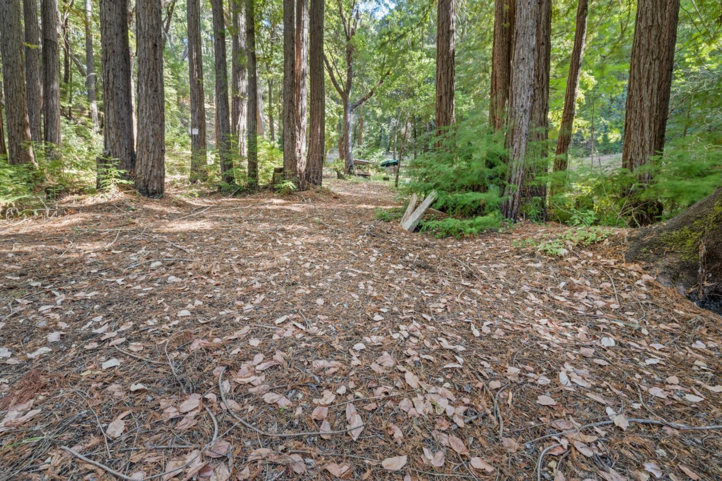 19900 Kings Creek Road Boulder Creek, CA 95006 - Photo 2 of 33 a backyard of a house with lots of green space