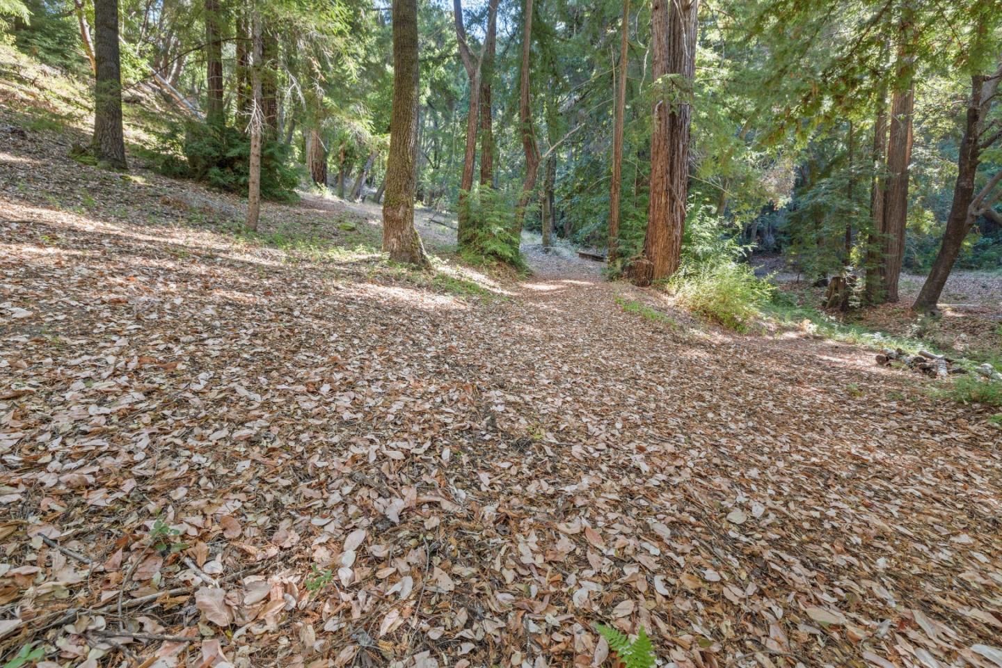 19900 Kings Creek Road Boulder Creek, CA 95006 - Photo 22 of 33 a view of a forest with trees