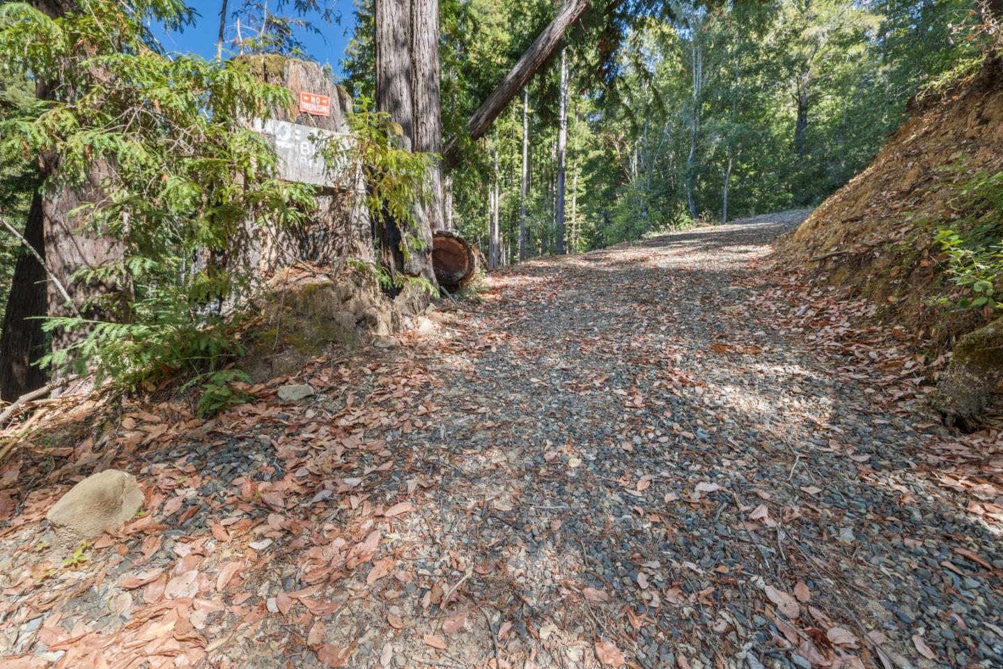19900 Kings Creek Road Boulder Creek, CA 95006 - Photo 24 of 33 a view of a yard with plants and trees