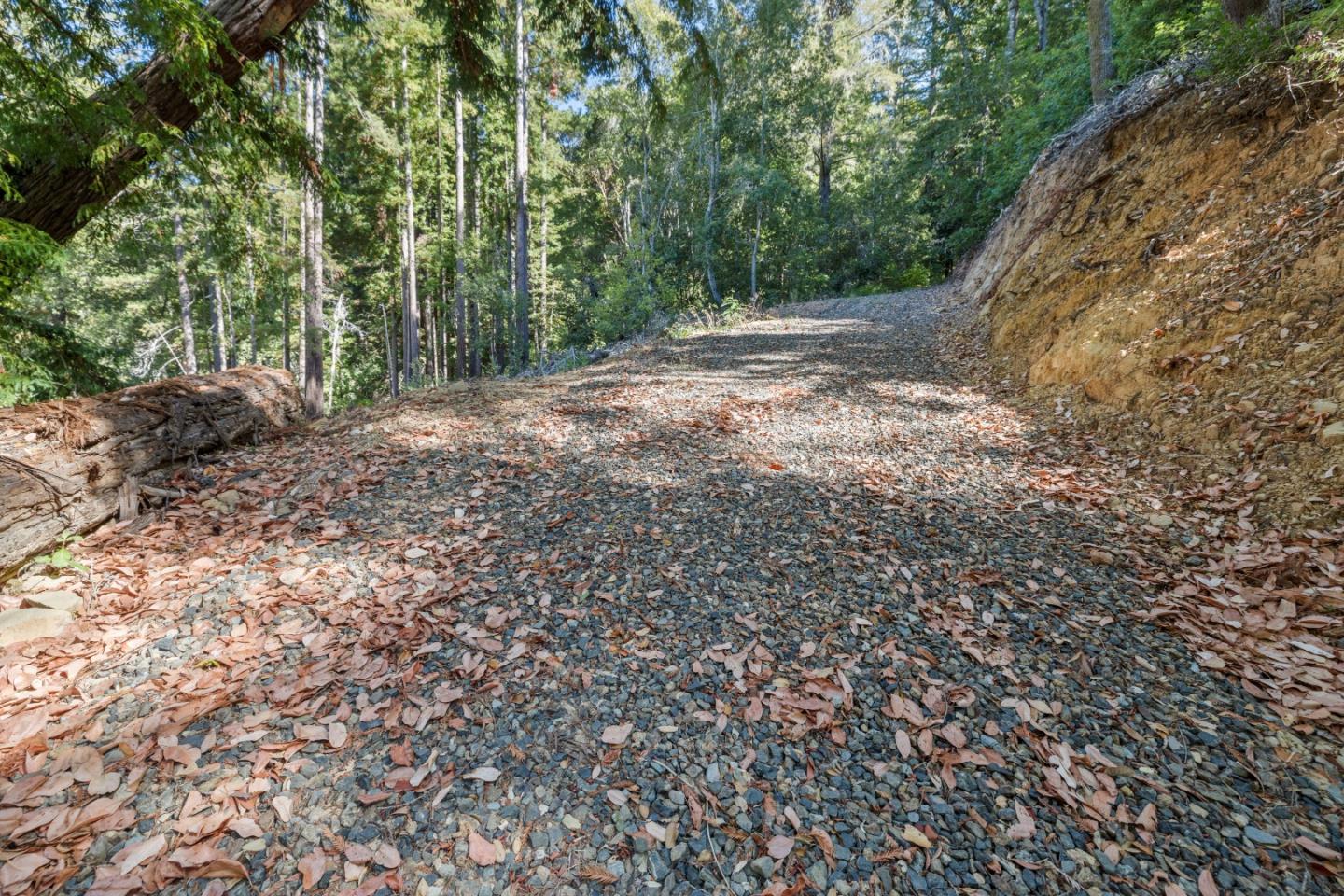 19900 Kings Creek Road Boulder Creek, CA 95006 - Photo 25 of 33 a view of a forest with trees in the background