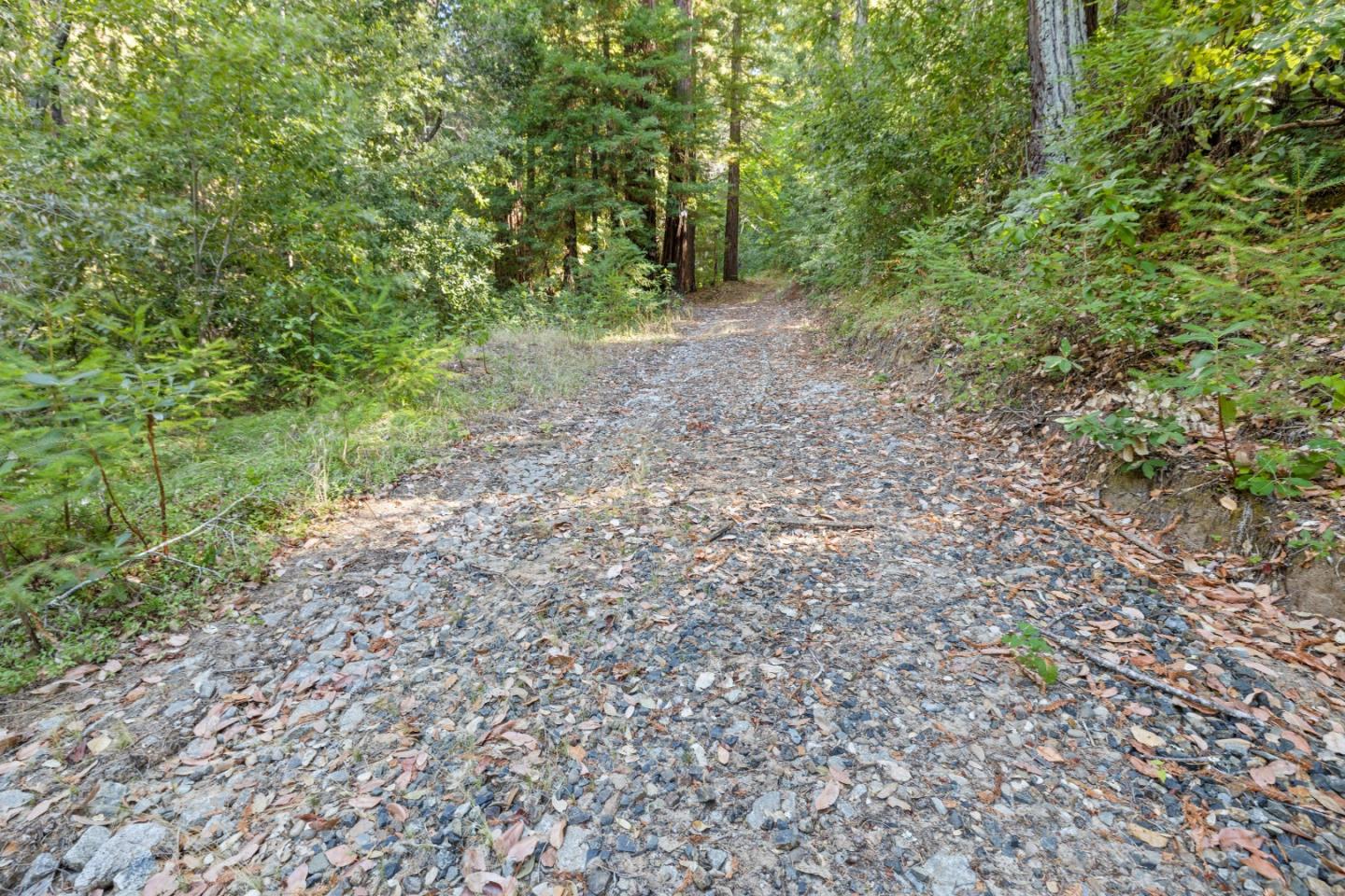 19900 Kings Creek Road Boulder Creek, CA 95006 - Photo 3 of 33 a view of a forest with trees in the background