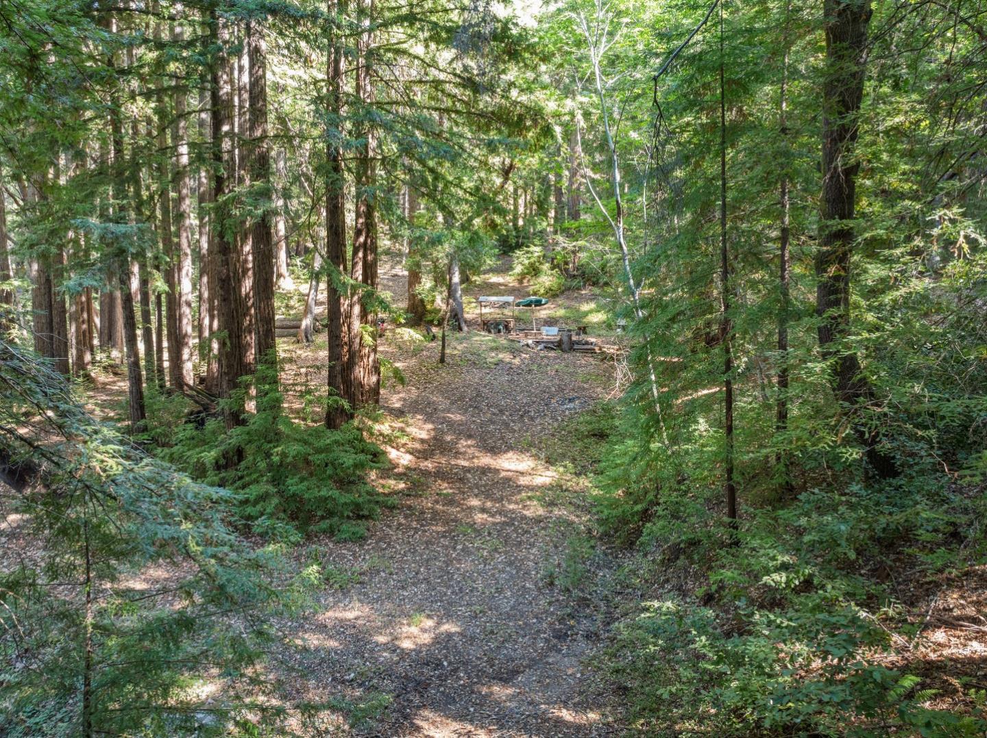 19900 Kings Creek Road Boulder Creek, CA 95006 - Photo 5 of 33 a view of yard
