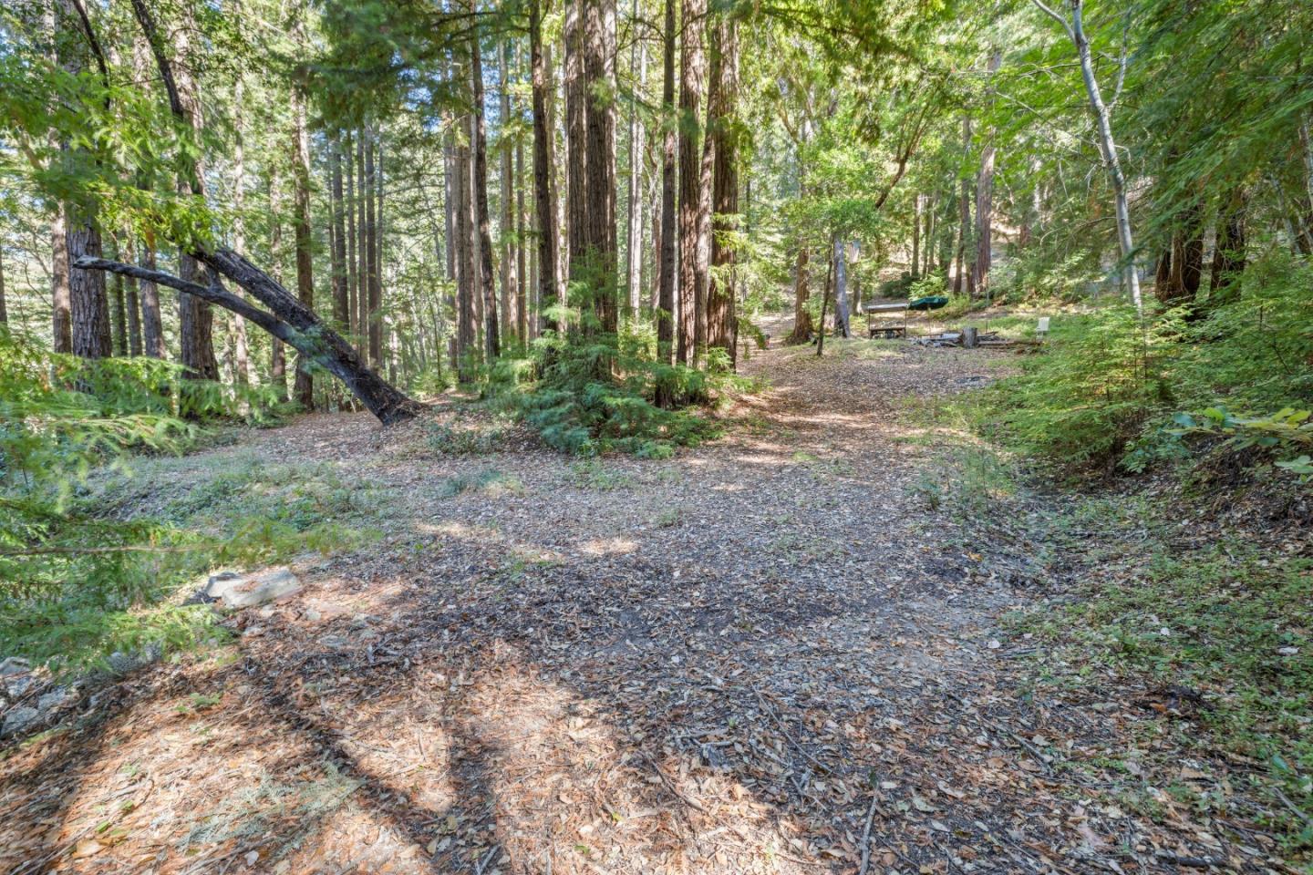 19900 Kings Creek Road Boulder Creek, CA 95006 - Photo 6 of 33 a view of a yard with plants and trees