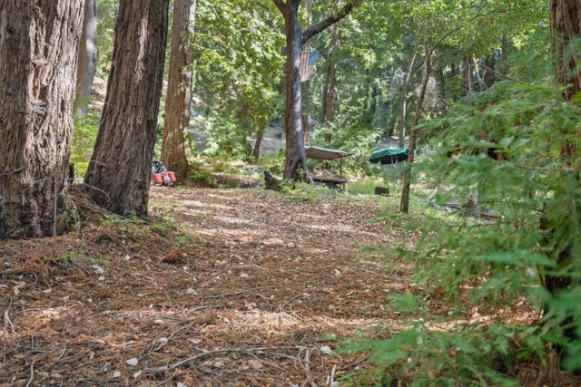 a backyard of a house with lots of green space