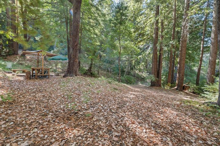 19900 Kings Creek Road Boulder Creek, CA 95006 - Photo 8 of 33 a view of a forest filled with trees