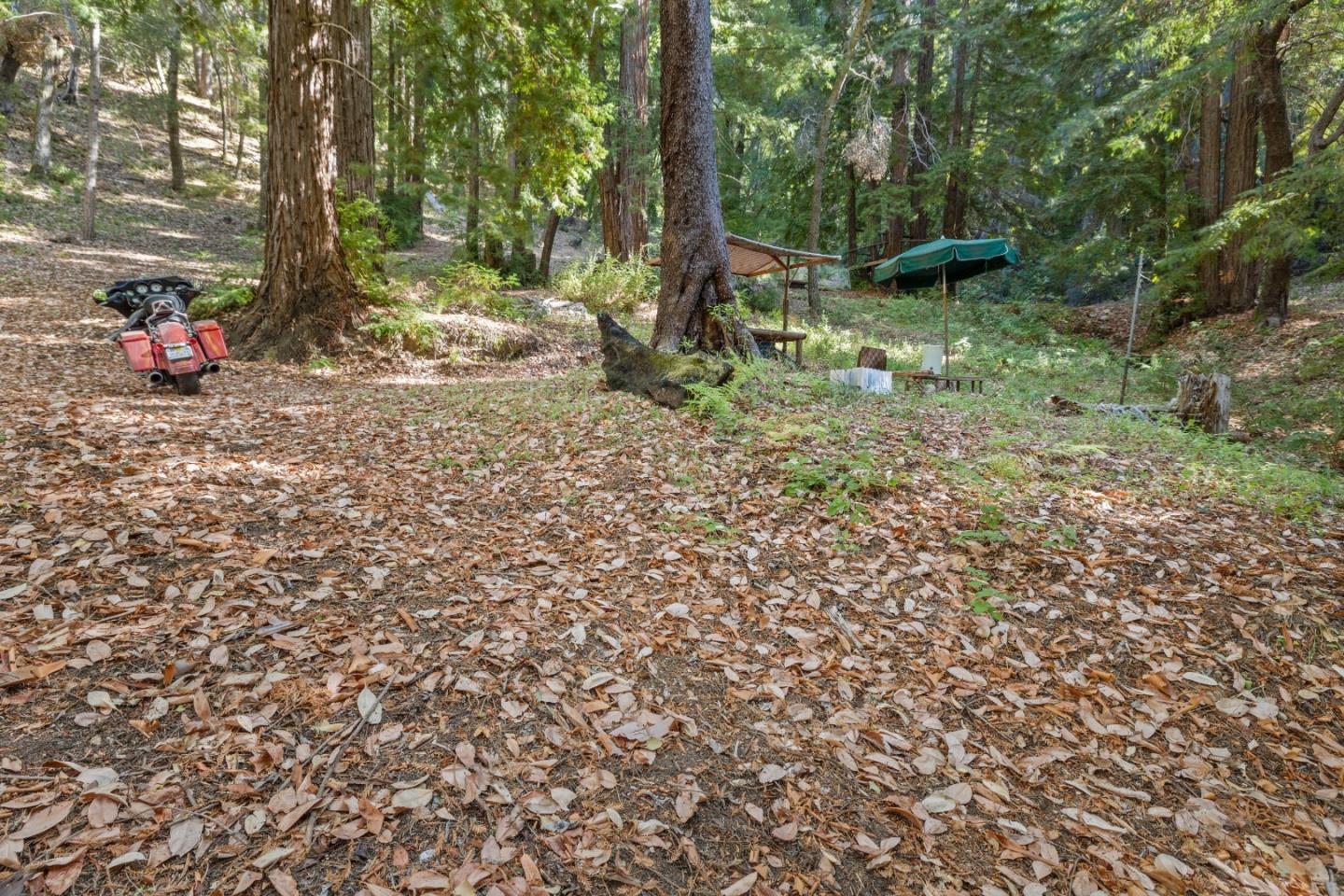 19900 Kings Creek Road Boulder Creek, CA 95006 - Photo 9 of 33 a backyard of a house with lots of green space