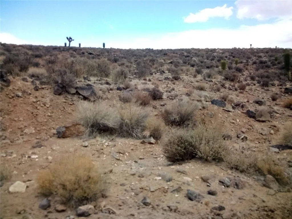 0 South Warm Spring Big Pine, CA 93513 - Photo 11 of 12 a view of a dry yard