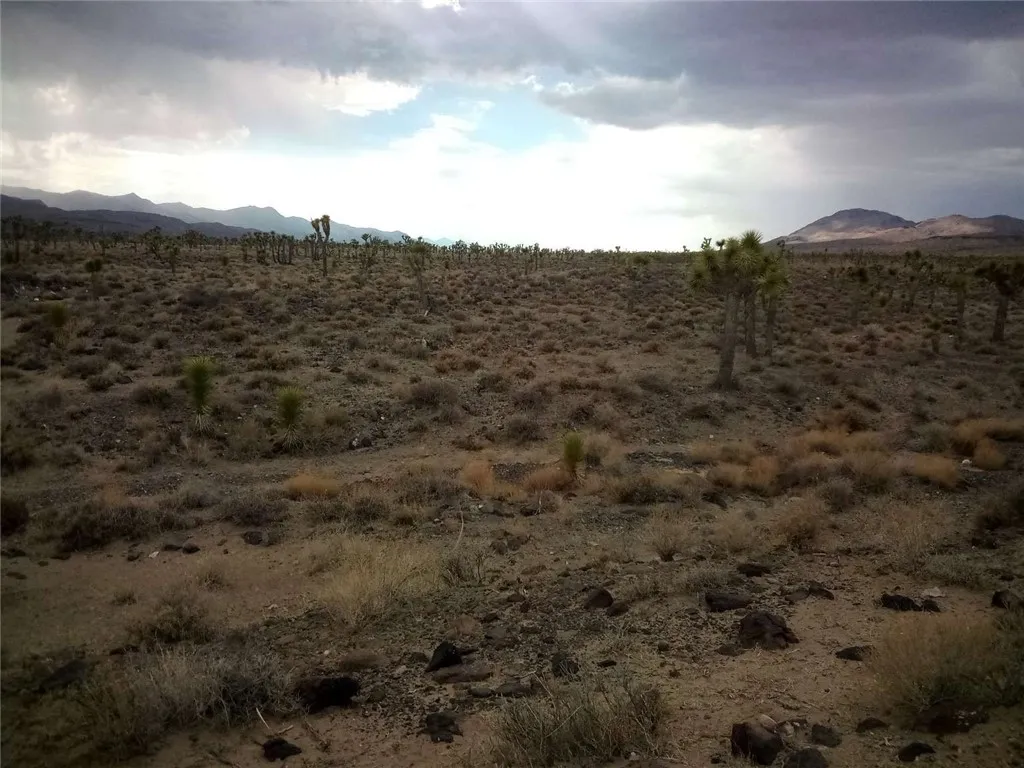 0 South Warm Spring Big Pine, CA 93513 - Photo 8 of 12 a view of a mountain
