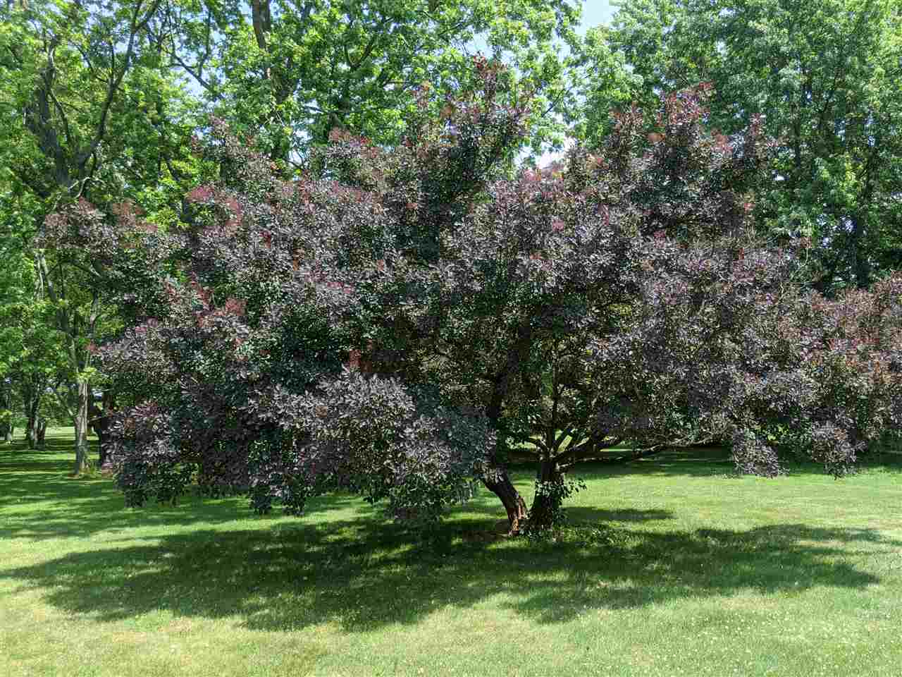 2142 North Oak Road Davison, MI 48423 - Photo 33 of 45