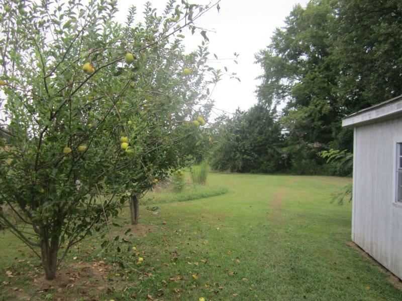 679 Jeff Webb Road Ripley, TN 38063 - Photo 14 of 19