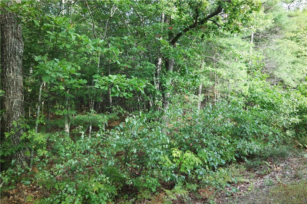 Lot 1 Cheney Woods Rd Wells Wells, ME 04090 - Photo 3 of 6 Lot 1 Cheney Woods Road