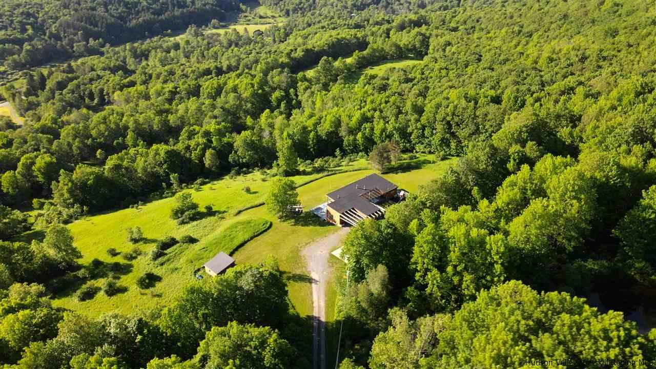 313 John B Hewitt Spur Roxbury, NY 12421 - Photo 6 of 6 Photo 35