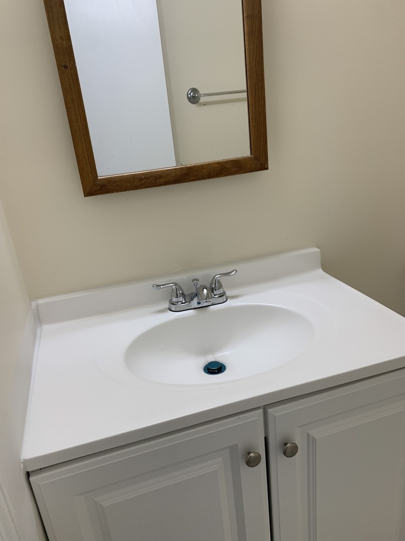 264 East Bailey Road, Unit C Naperville, IL 60565 - Photo 22 of 30 a bathroom with a sink and a mirror