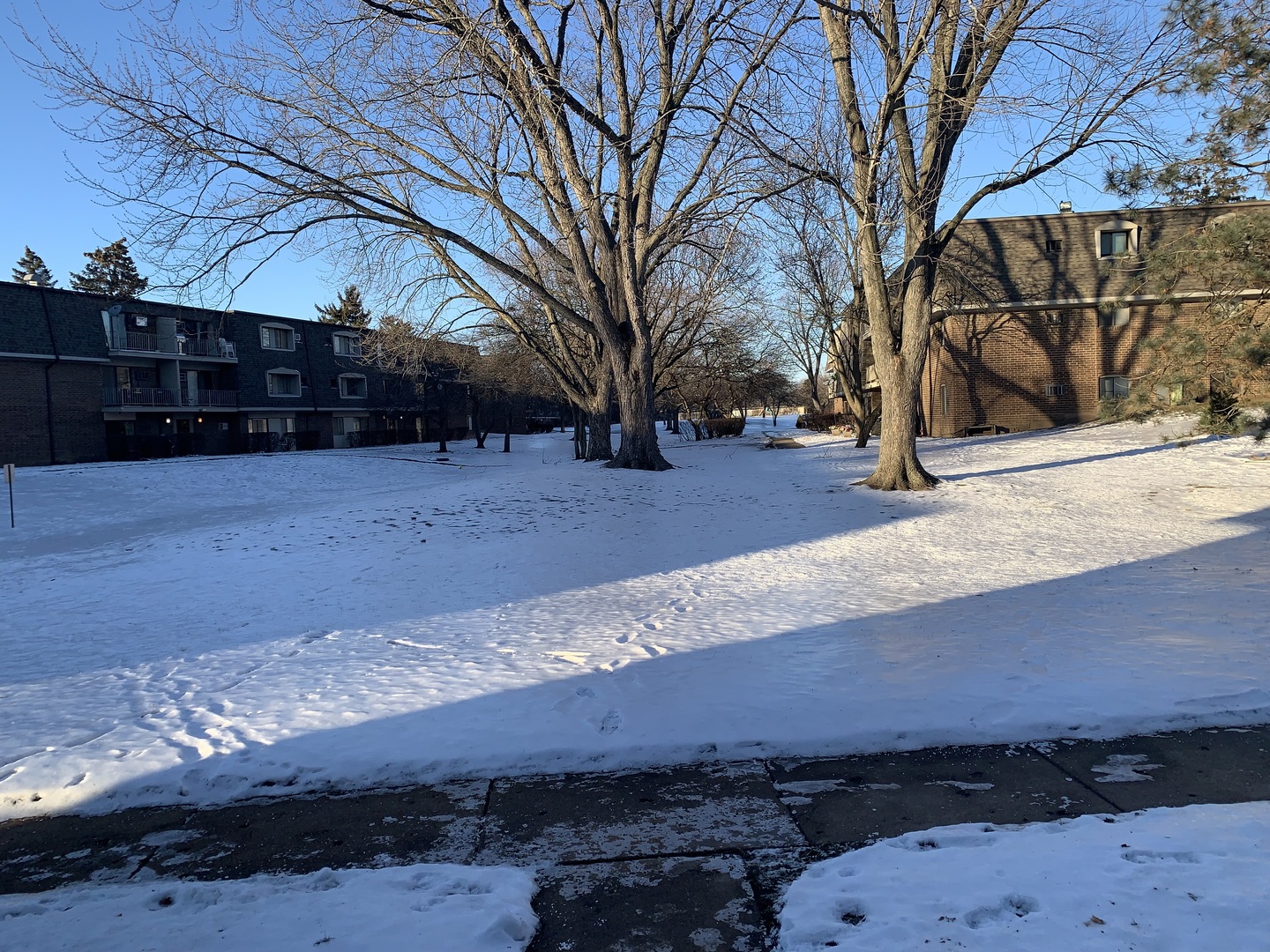 264 East Bailey Road, Unit C Naperville, IL 60565 - Photo 24 of 30 a view of a backyard of the house