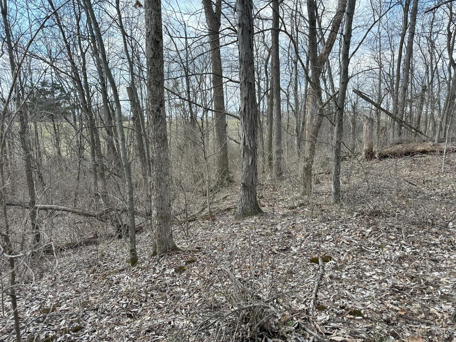 0 Wilson Road Winchester, OH 45697 - Photo 20 of 69