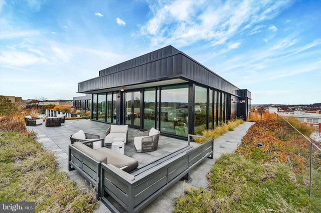 a view of a yard with plants and trees