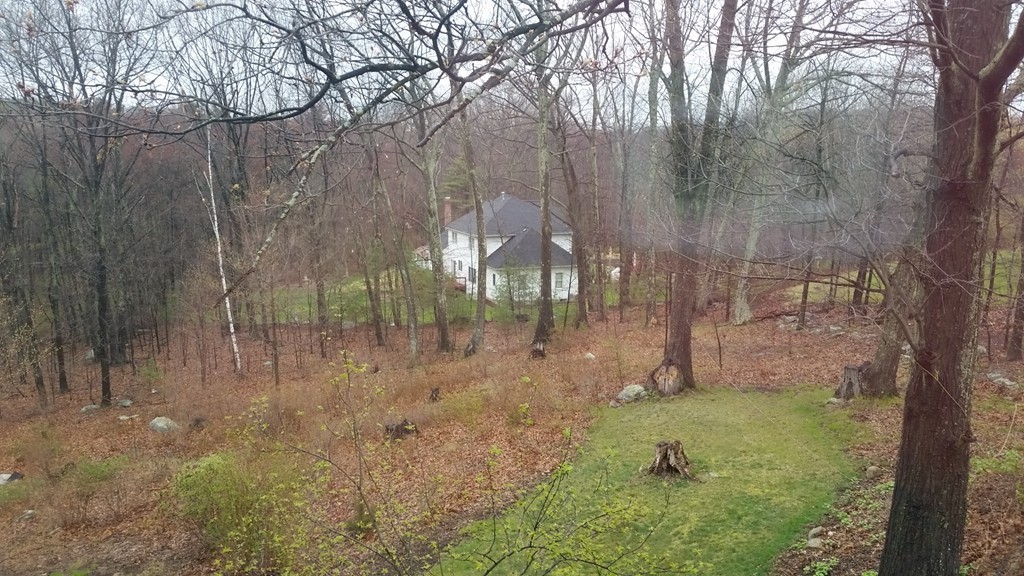 124 Stow Road Marlborough, MA 01752 - Photo 13 of 15 Gallery Image 13