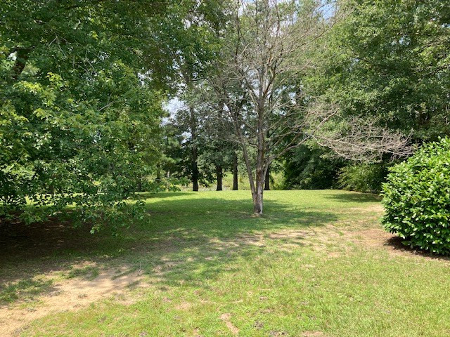 5025 Queen Chapel Road Dalzell, SC 29040 - Photo 28 of 29 Gallery Image 28