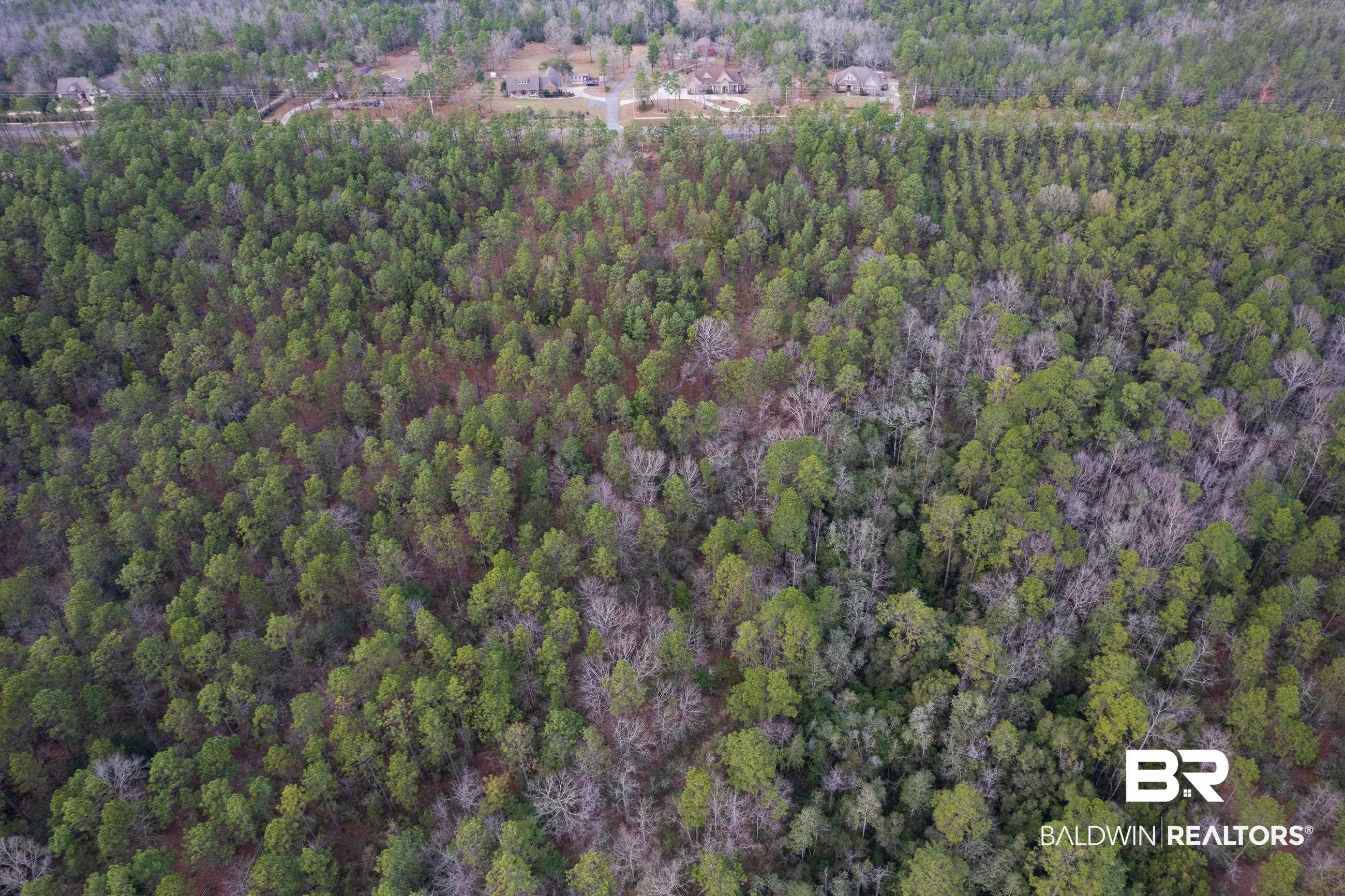 0 Bromley Road Daphne, AL 36527 - Photo 5 of 16