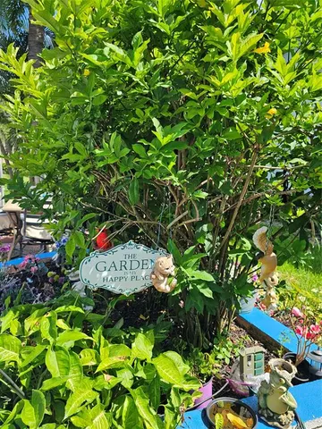 a picture of flowers