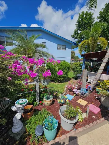 a bunch of flowers are in a garden