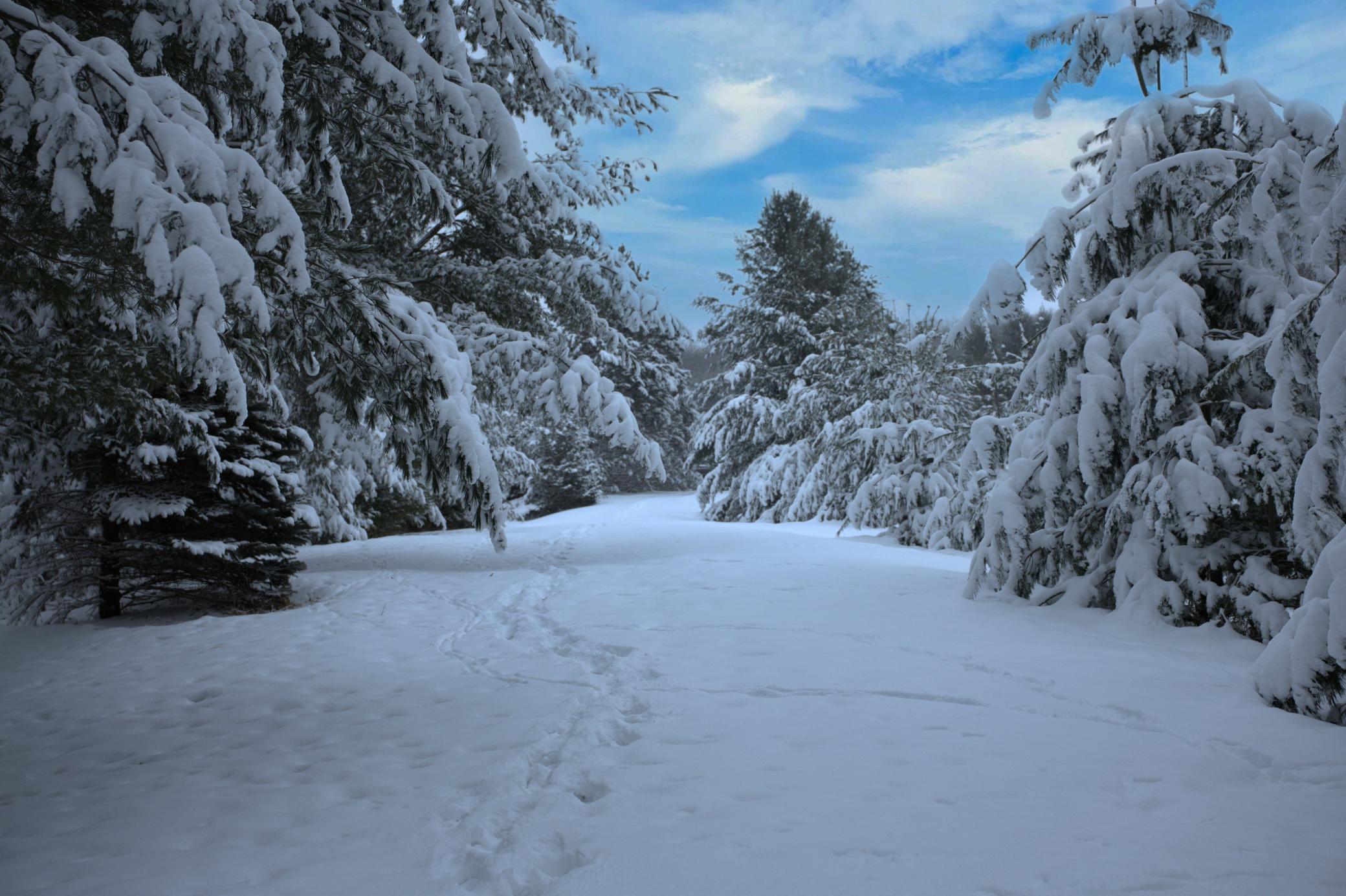 N2991 Sunset Drive Shell Lake, WI 54871 - Photo 18 of 22