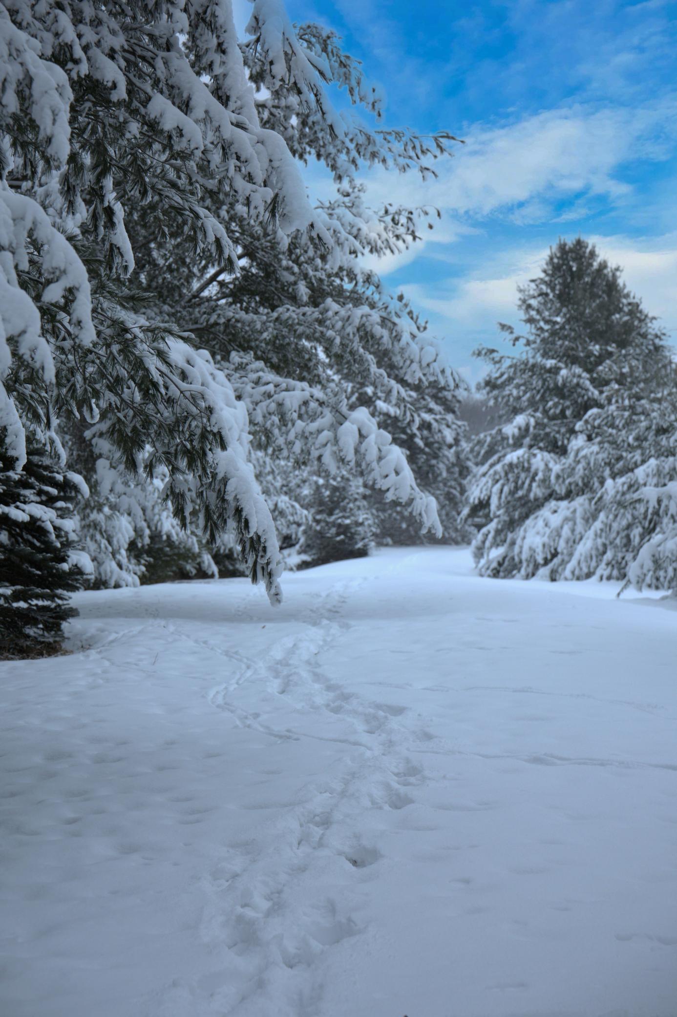 N2991 Sunset Drive Shell Lake, WI 54871 - Photo 19 of 22