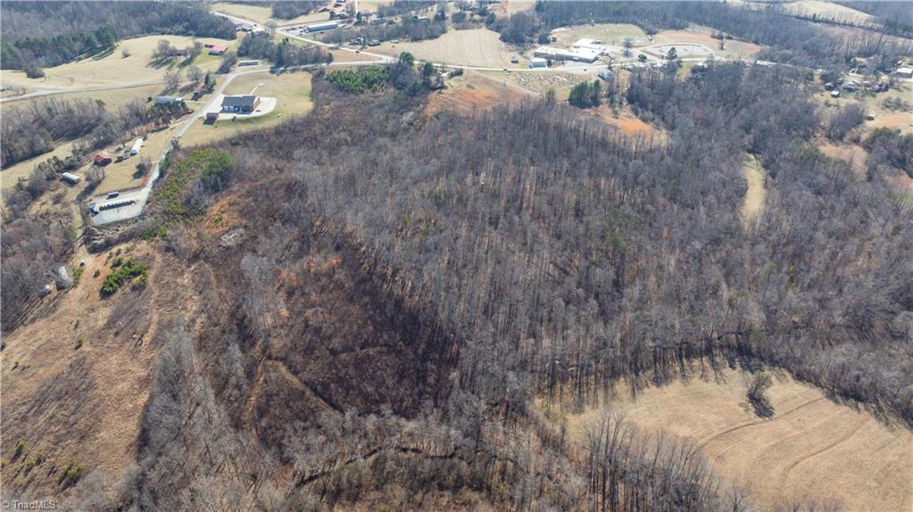 0 Snow Hill Church Road Danbury, NC 27016 - Photo 12 of 12