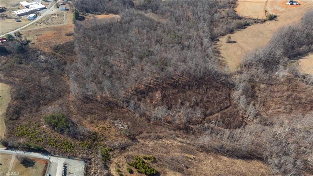0 Snow Hill Church Road Danbury, NC 27016 - Photo 10 of 12