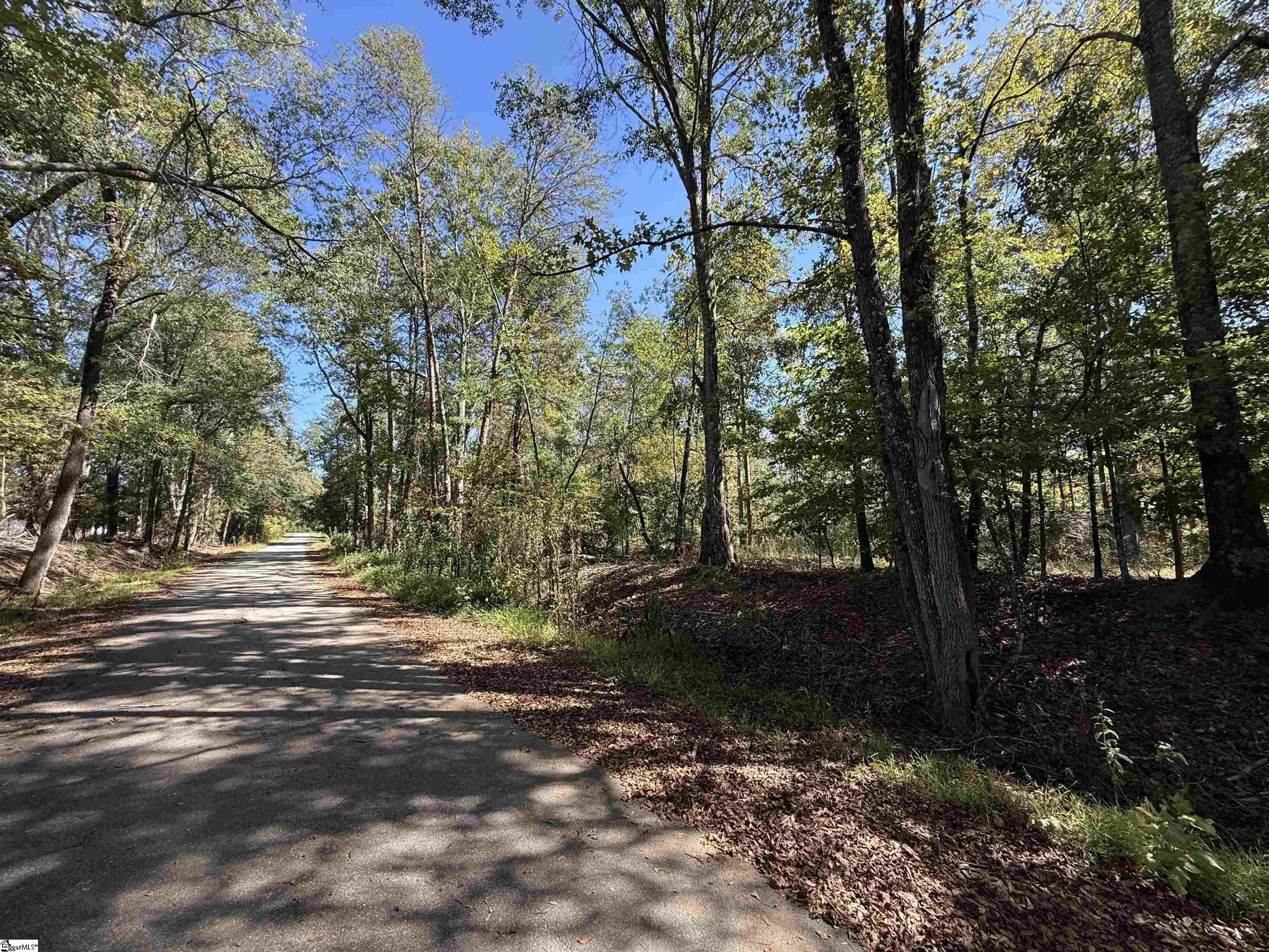 State Road Roebuck, SC 29376 - Photo 4 of 5 Gallery Image 4