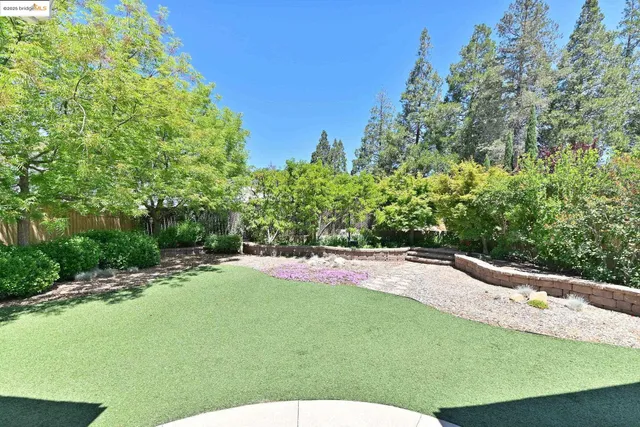 a living room filled with furniture and a potted plant