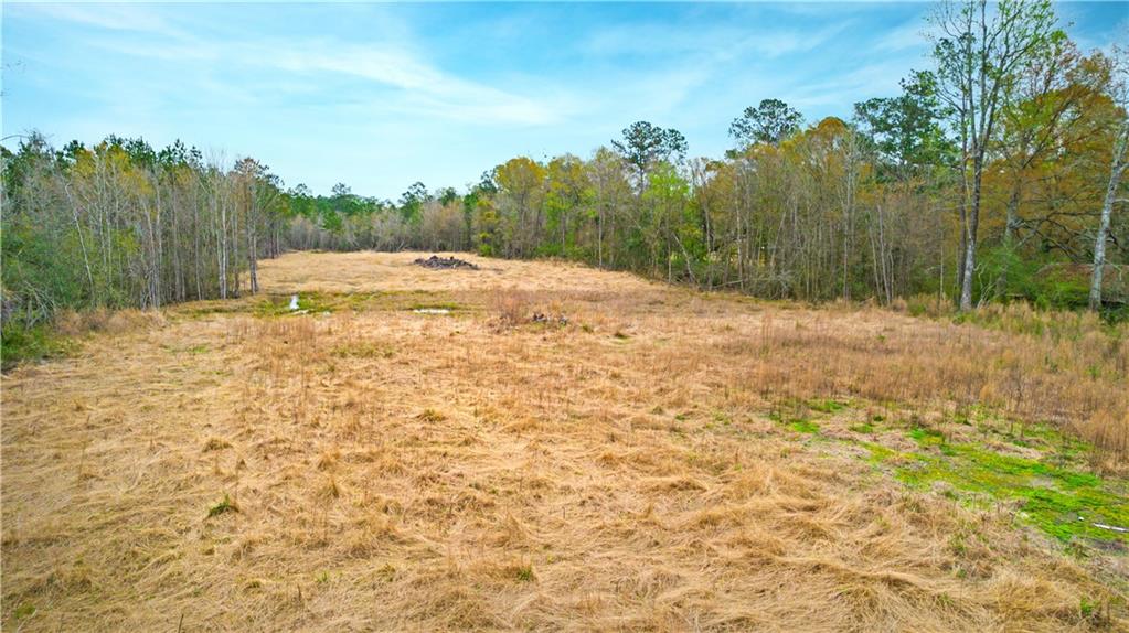 0 South Coburn Road Hammond, LA 70403 - Photo 3 of 4