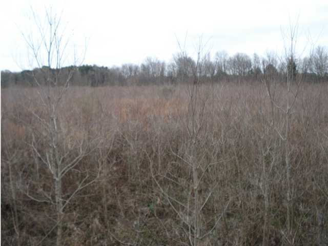 0 Bihm Road Church Point, LA 70525 - Photo 2 of 3 Gallery Image 2