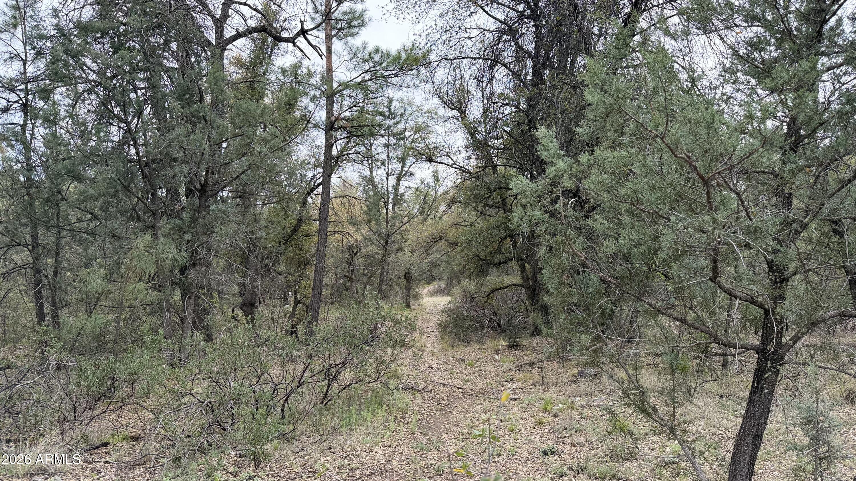 117 Rifle Barrel Road, Unit 41 Young, AZ 85554 - Photo 3 of 5 IMG_5716