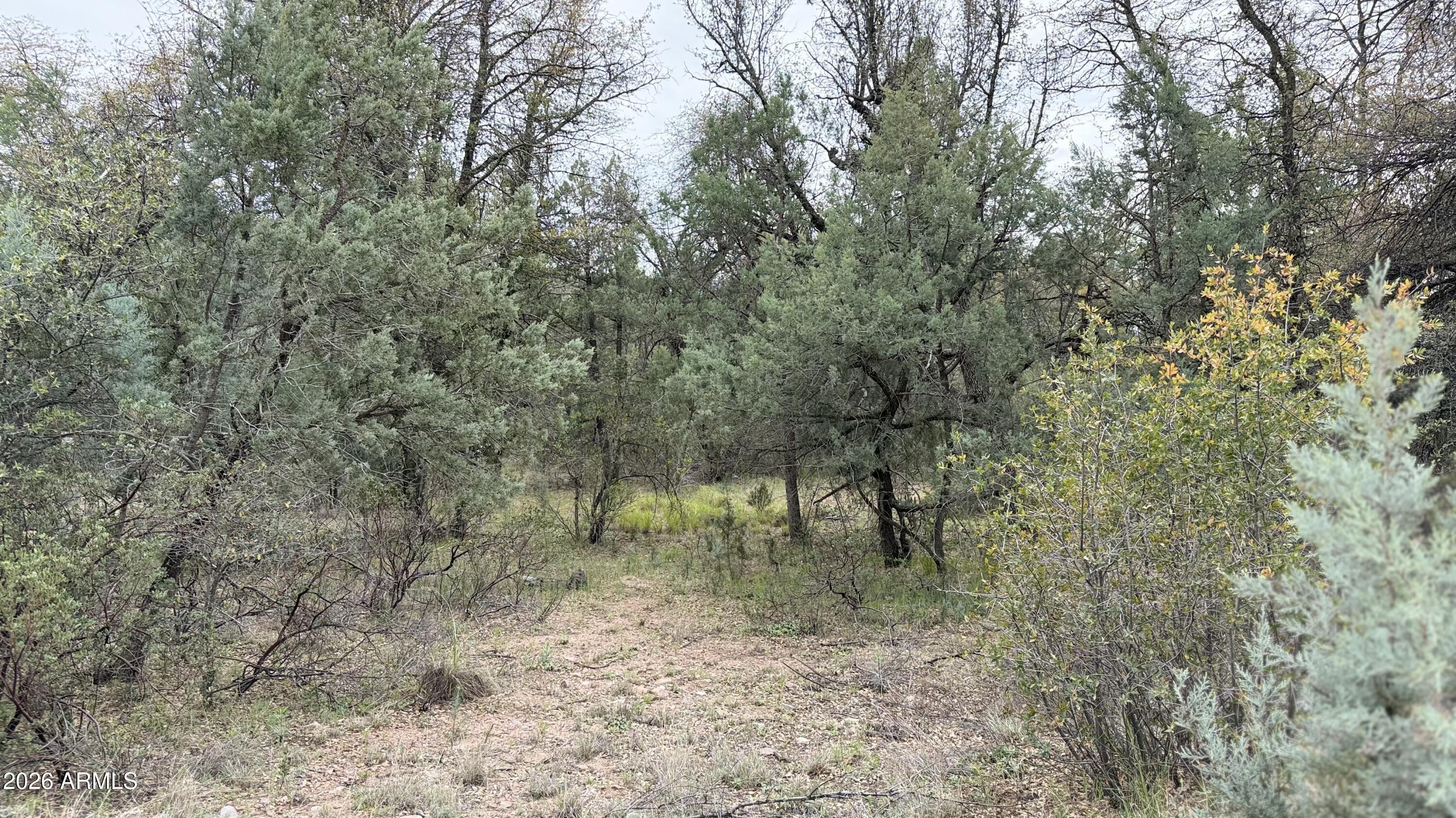 117 Rifle Barrel Road, Unit 41 Young, AZ 85554 - Photo 4 of 5 IMG_5712